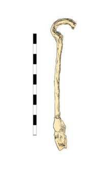 wrench, iron, fragment