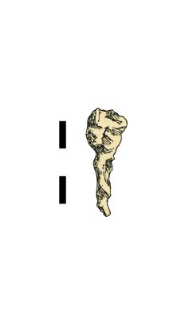 item, iron