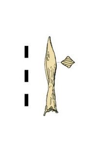 arrowhead, iron