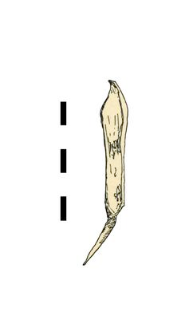 arrowhead, iron
