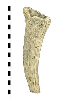 horn, worked