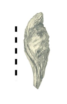 oak's fragment, worked