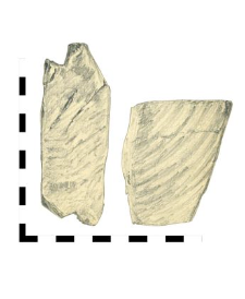 plate, two fragments