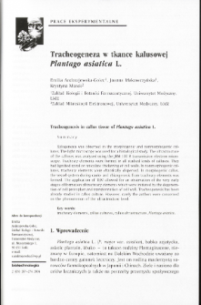 Tracheogenesis in callus tissue of Plantago asiatica L.