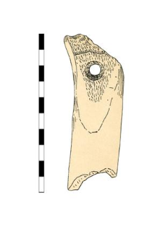 skate, bone, fragment