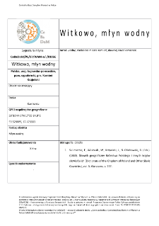 Witkowo, młyn wodny