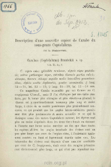 Description d&rsquo;une nouvelle esp&egrave;ce de Carabe du sous-genre Coptolabrus