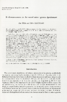 B chromosomes in the wood mice (genus Apodemus )