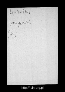 Lipińskie. Files of Gostynin district in the Middle Ages. Files of Historico-Geographical Dictionary of Masovia in the Middle Ages