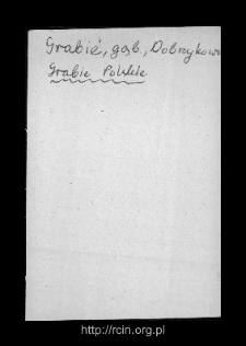 Grabie Polskie. Files of Gostynin district in the Middle Ages. Files of Historico-Geographical Dictionary of Masovia in the Middle Ages