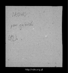 Ił&oacute;w. Files of Gostynin district in the Middle Ages. Files of Historico-Geographical Dictionary of Masovia in the Middle Ages