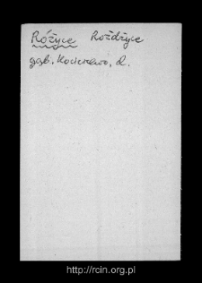 R&oacute;życe. Files of Gostynin district in the Middle Ages. Files of Historico-Geographical Dictionary of Masovia in the Middle Ages