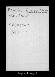 Brzoz&oacute;w Stary. Files of Gostynin district in the Middle Ages. Files of Historico-Geographical Dictionary of Masovia in the Middle Ages