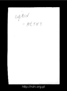 Gąbin. Files of Gostynin district in the Middle Ages. Files of Historico-Geographical Dictionary of Masovia in the Middle Ages