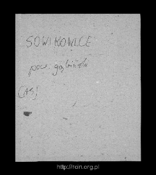 Sejkowice. Files of Gostynin district in the Middle Ages. Files of Historico-Geographical Dictionary of Masovia in the Middle Ages