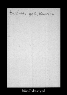 Witkowice-Łaźnia. Files of Gostynin district in the Middle Ages. Files of Historico-Geographical Dictionary of Masovia in the Middle Ages