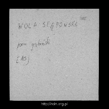 Wola Stępowska. Files of Gostynin district in the Middle Ages. Files of Historico-Geographical Dictionary of Masovia in the Middle Ages