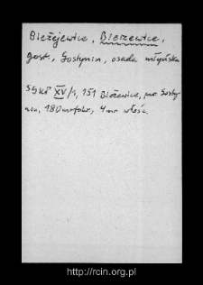 Bierzewice. Files of Gostynin district in the Middle Ages. Files of Historico-Geographical Dictionary of Masovia in the Middle Ages