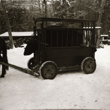 [Mieszaniec w klatce(3)]