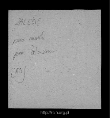 Zalesie. Files of Rawa Mazowiecka district in the Middle Ages. Files of Historico-Geographical Dictionary of Masovia in the Middle Ages