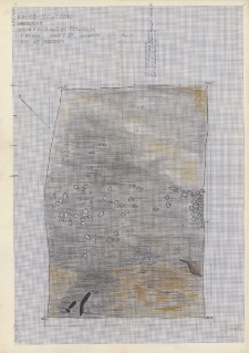 KZG, V 16 C D, 21 A B, plan archeologiczny wykopu
