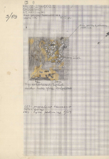 KZG, V 20 A C, plan archeologiczny paleniska nr 1