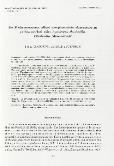 Do B chromosomes affect morphometric characters in yellow-necked mice Apodemus flavicollis (Rodentia, Mammalia)?
