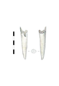 item, bone, fragment