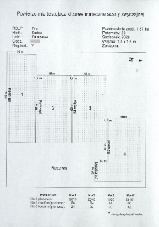 Testowanie drzew matecznych sosny zwyczajnej. Region testowania V, Nr 53/So/D/V/4/DM1