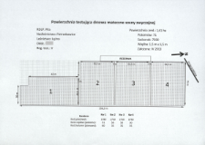 Testowanie drzew matecznych sosny zwyczajnej. V Region testowania. Nr 128/So/D/V/3/DM2
