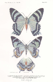 Two specially significant examples of insect mimicry