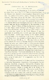 Coleoptera, &c., in Beomeliads