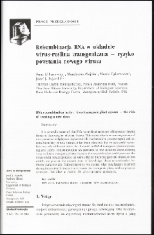 Rekombinacja RNA w układzie wirus-roślina transgeniczna - ryzyko powstania nowego wirusa