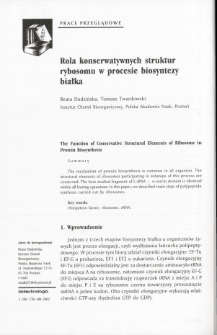 The Function of Conservative Structural Elements of Ribosome in Protein Biosynthesis