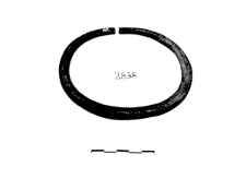 armlet (Struźmino) - chemical analysis