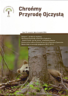 Geopark - od idei do realizacji, ze szczególnym uwzględnieniem Polski