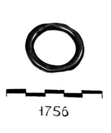 ring (Barnowiec) - chemical analysis