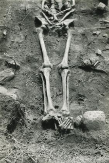 Grave 2-88, lower part of the skeleton