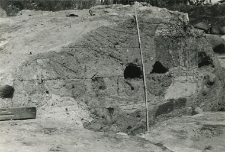 Tak zwany grobowiec Mieszka Starego i Mieszka Mieszkowica, badania 1988, przekrój