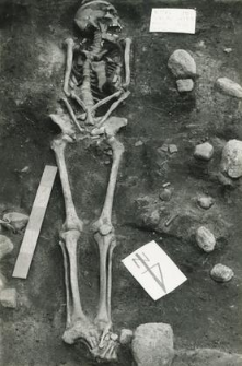 Grave 2-88, burial - skeleton