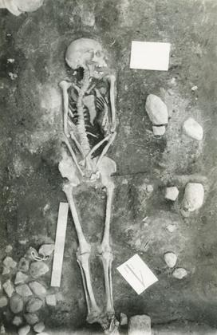 Grave 2-88, burial - skeleton