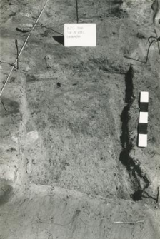 Grave 4-88, burial cut, fragment