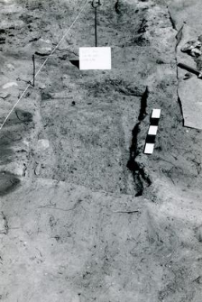Grave 4-88, burial cut, coffin contours
