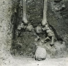 Grób 4-88, wkop grobowy, pochówek - szkielet z wadami wrodzonymi, kości stóp