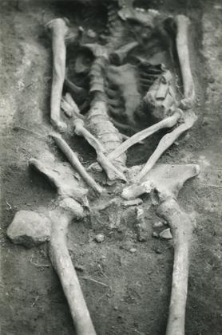 Grave 2-88, inhumation - skeleton, in the burial cut, middle part