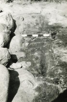 Grób 1-89, zarys wkopu grobowego, widoczne kamienie fundamentu absydy kolegiaty, od zewnątrz