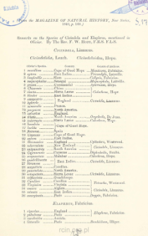 Remarks on the Species of Cicindela and Elaphrus, mentioned in Olivier