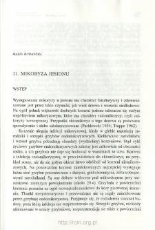 Mycorrhizal symbiosis