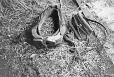 Horse collar
