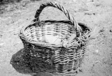 Basket